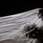 affordable prom dresses